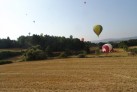 Ebf2011(20)