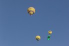 Ebf2011(21)