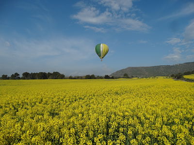 Hot air balloon flight in Igualada