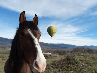 Hot Air Balloon Flight in La Cerdanya: the Pyrenees From the Sky
